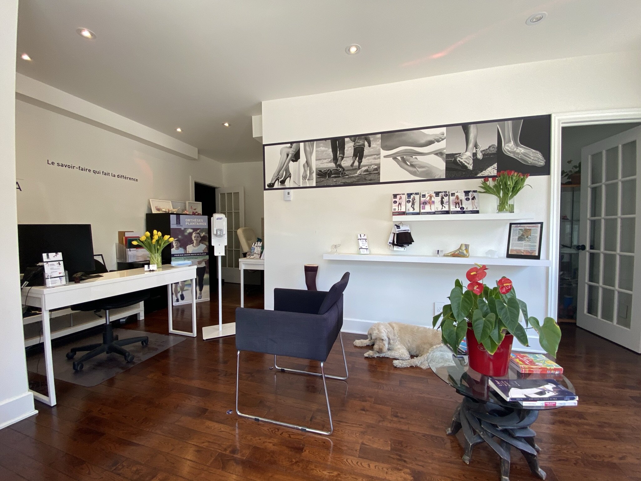 Nora Fertikh, podo-orthésiste à Montréal